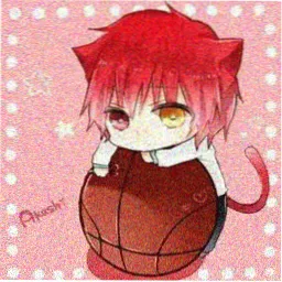 观众深夜追剧的猫的头像